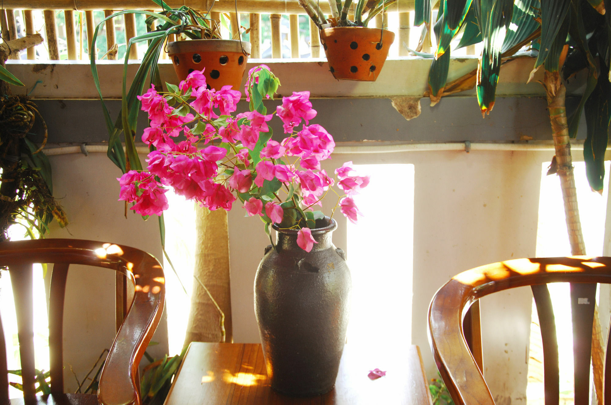 Seaside An Bang Homestay Hoi An Exterior foto